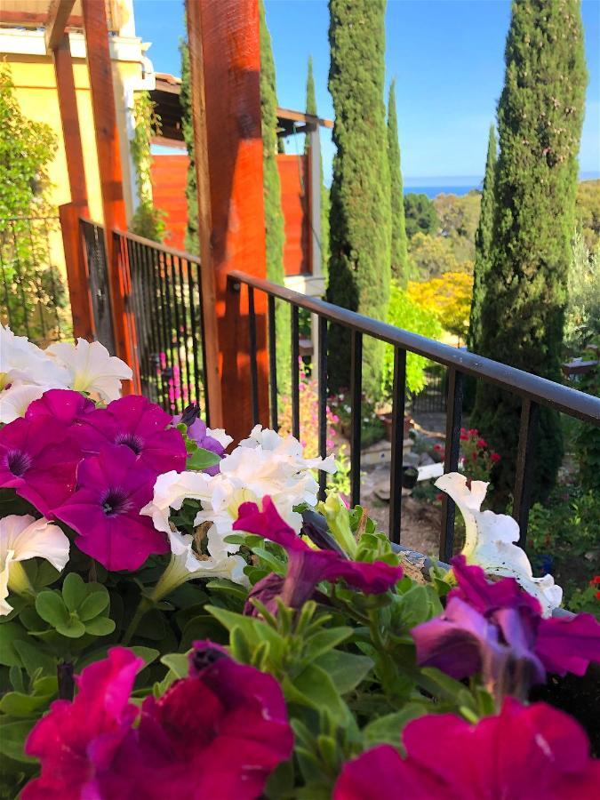 Villa Mallorca Red Hill South Екстер'єр фото
